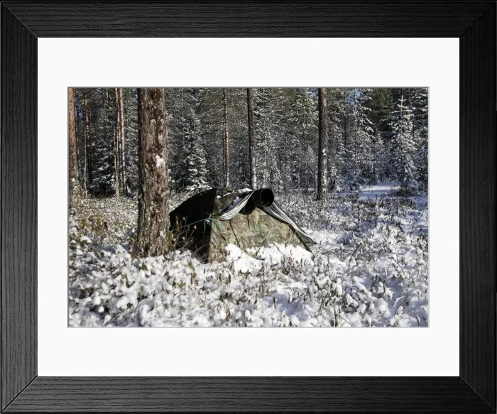 Framed Print : Picture No. 10782974 Framed Print : Picture No. 10782974