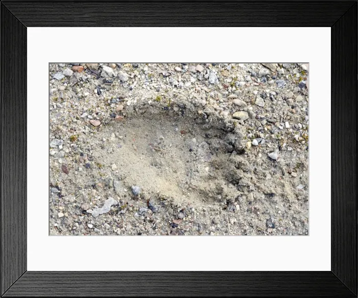 Framed Print : Picture No. 10783000 Framed Print : Picture No. 10783000