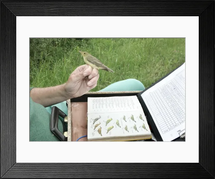 Framed Print : Picture No. 10783202 Framed Print : Picture No. 10783202