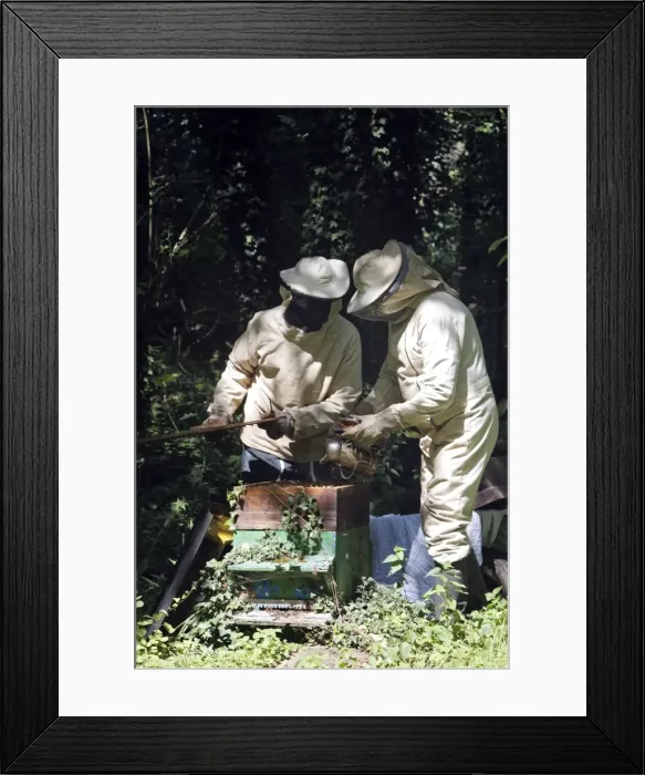 Framed Print : Picture No. 10783221 Framed Print : Picture No. 10783221