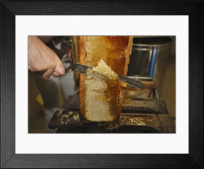 Framed Print : Picture No. 10783226 Framed Print : Picture No. 10783226