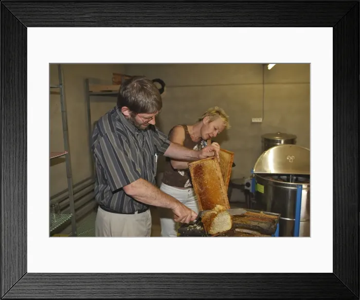 Framed Print : Picture No. 10783225 Framed Print : Picture No. 10783225