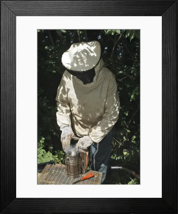 Framed Print : Picture No. 10783222 Framed Print : Picture No. 10783222