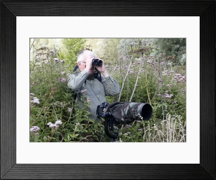Framed Print : Picture No. 10783278 Framed Print : Picture No. 10783278