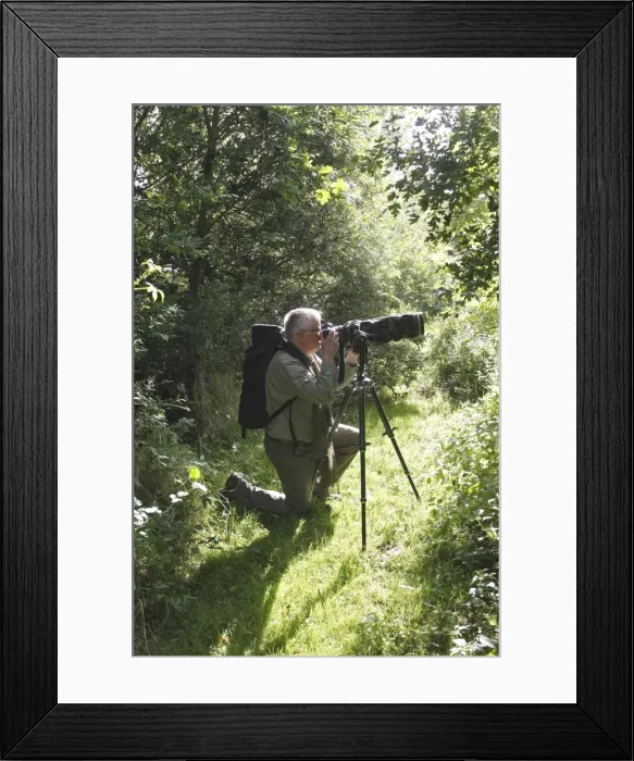 Framed Print : Picture No. 10783279 Framed Print : Picture No. 10783279