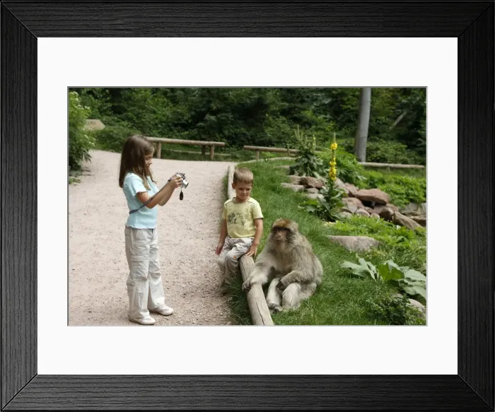 Framed Print : Picture No. 10783297 Framed Print : Picture No. 10783297