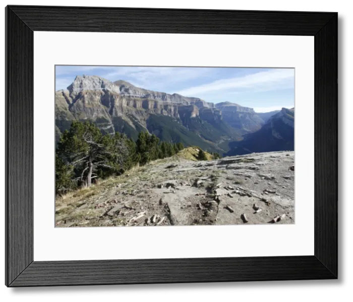 Framed Print : Picture No. 10783394 Framed Print : Picture No. 10783394