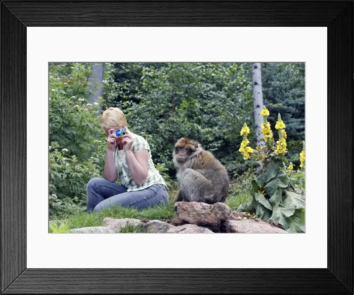 Framed Print : Picture No. 10783298 Framed Print : Picture No. 10783298