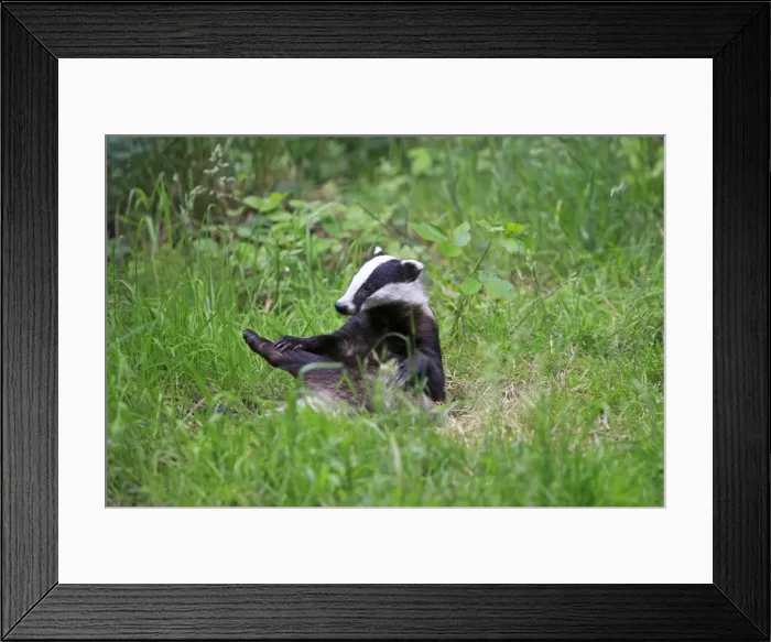 Framed Print : Picture No. 10783452 Framed Print : Picture No. 10783452