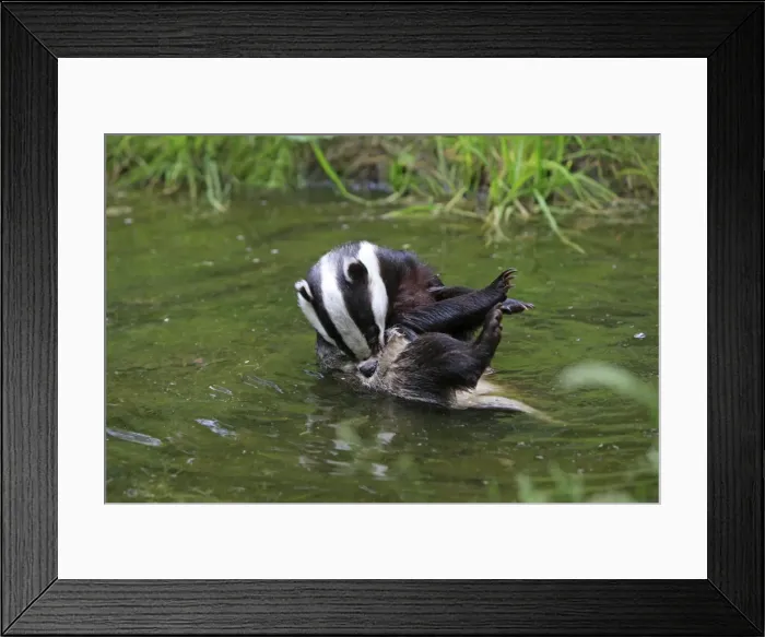 Framed Print : Picture No. 10783461 Framed Print : Picture No. 10783461