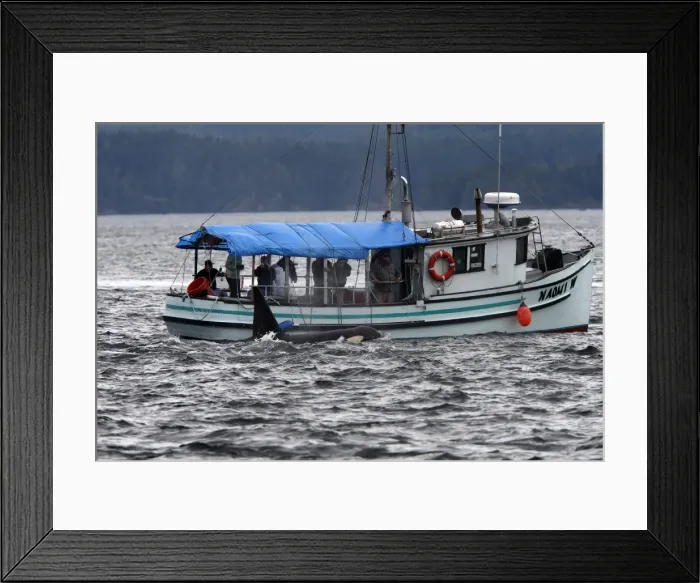 Framed Print : Picture No. 10783839 Framed Print : Picture No. 10783839