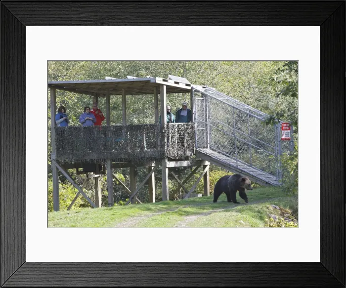 Framed Print : Picture No. 10783801 Framed Print : Picture No. 10783801