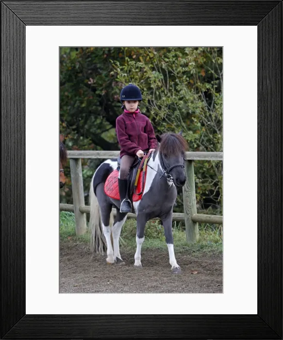 Framed Print : Picture No. 10783896 Framed Print : Picture No. 10783896