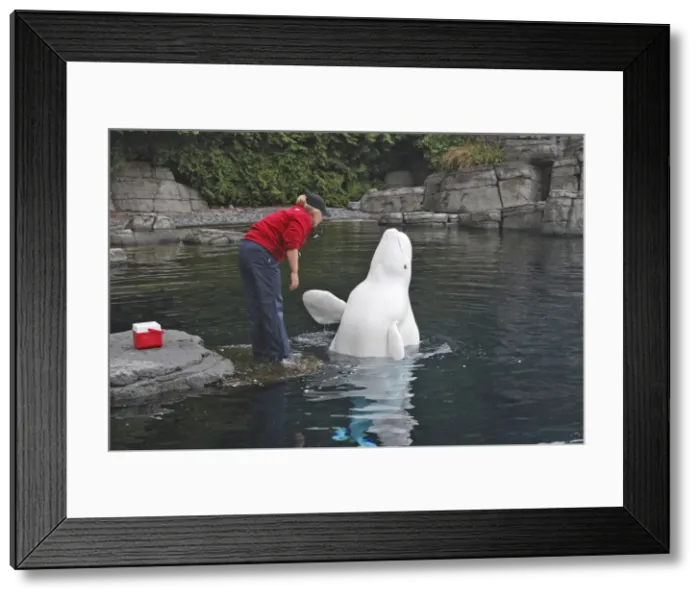 Framed Print : Picture No. 10783857 Framed Print : Picture No. 10783857
