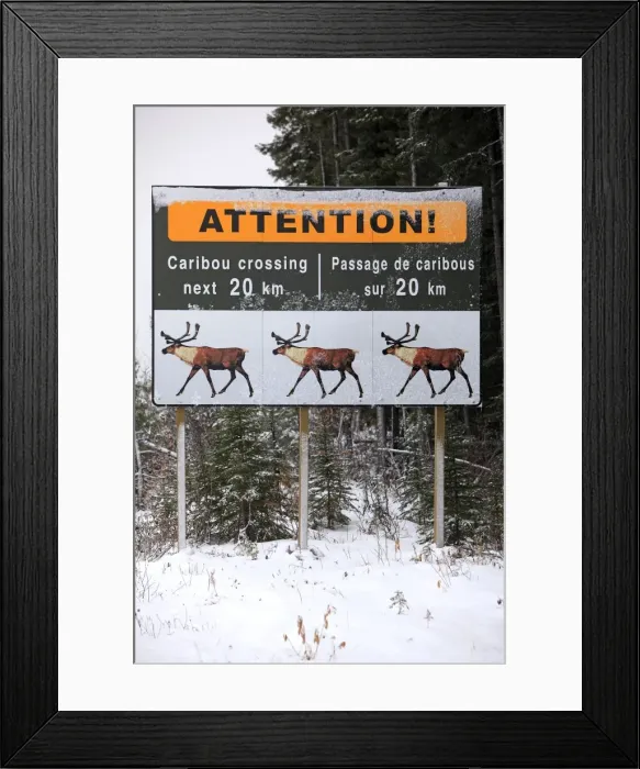 Framed Print : Picture No. 10784082