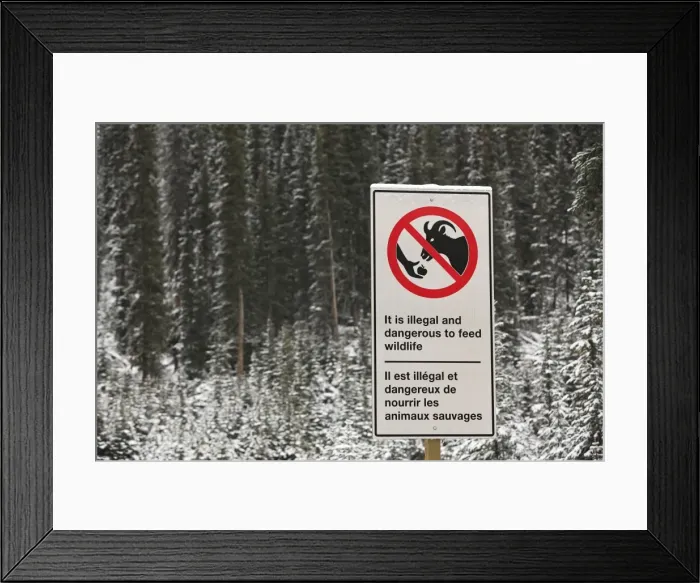 Framed Print : Picture No. 10784123 Framed Print : Picture No. 10784123