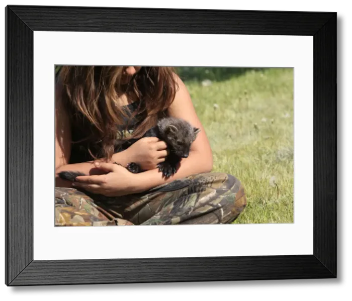 Framed Print : Picture No. 10784384 Framed Print : Picture No. 10784384