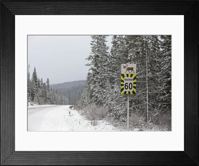 Framed Print : Picture No. 10784083 Framed Print : Picture No. 10784083