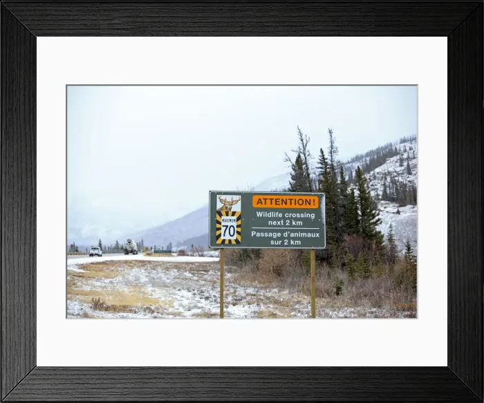 Framed Print : Picture No. 10784128 Framed Print : Picture No. 10784128