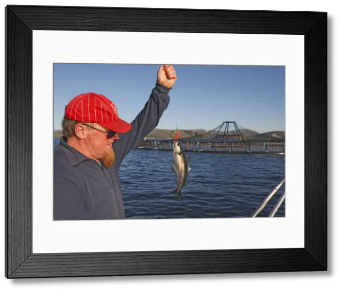 Framed Print : Picture No. 10784570