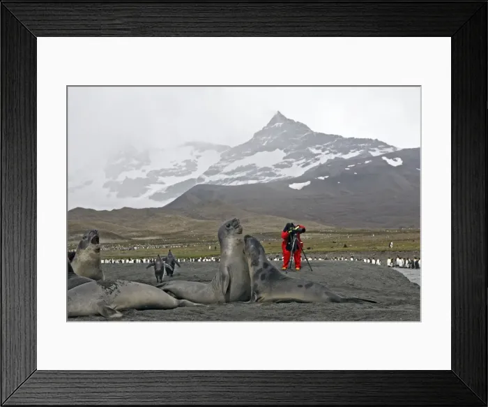Framed Print : Picture No. 10784660 Framed Print : Picture No. 10784660
