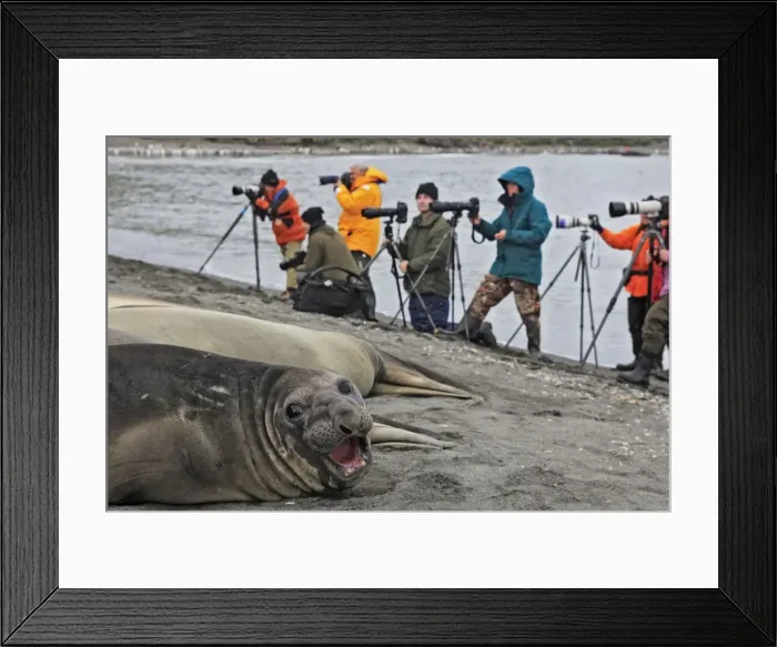 Framed Print : Picture No. 10784659 Framed Print : Picture No. 10784659