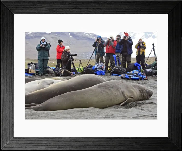 Framed Print : Picture No. 10784677 Framed Print : Picture No. 10784677
