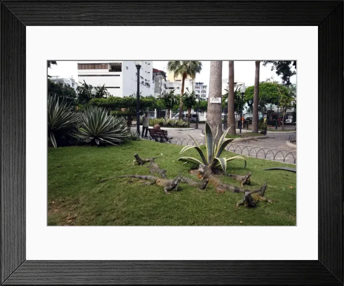 Framed Print : Picture No. 10784712 Framed Print : Picture No. 10784712