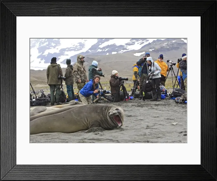 Framed Print : Picture No. 10784678 Framed Print : Picture No. 10784678