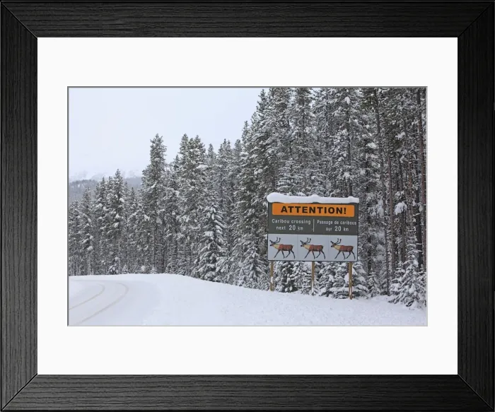 Framed Print : Picture No. 10784084 Framed Print : Picture No. 10784084