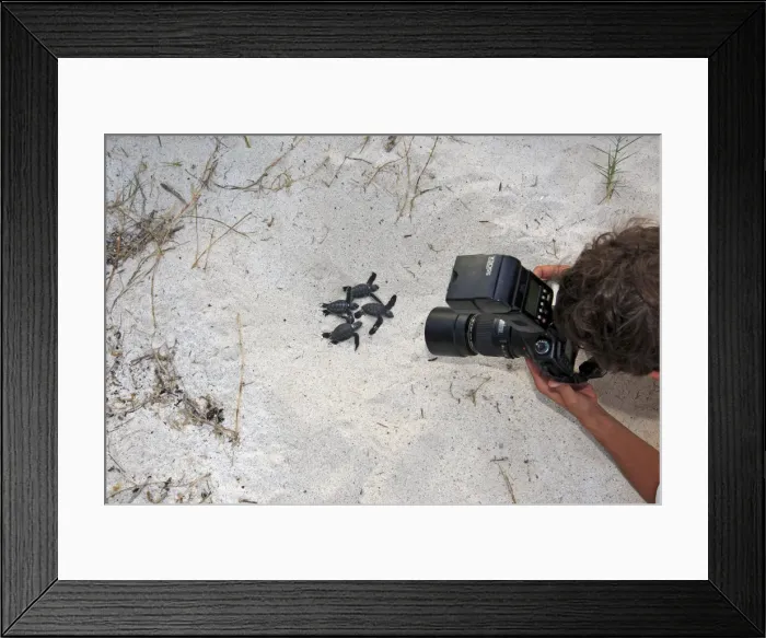 Framed Print : Picture No. 10784748 Framed Print : Picture No. 10784748