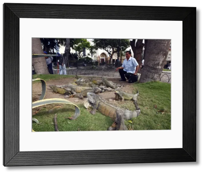 Framed Print : Picture No. 10784711 Framed Print : Picture No. 10784711