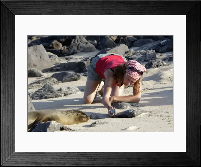 Framed Print : Picture No. 10784735 Framed Print : Picture No. 10784735