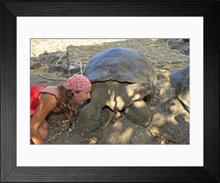 Framed Print : Picture No. 10784755 Framed Print : Picture No. 10784755
