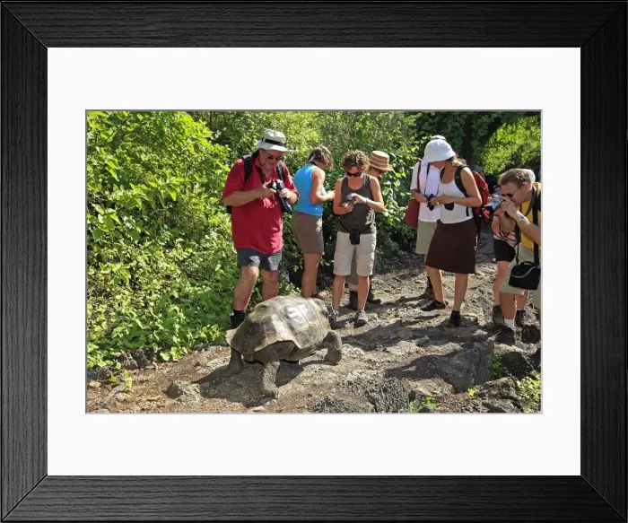 Framed Print : Picture No. 10784754 Framed Print : Picture No. 10784754