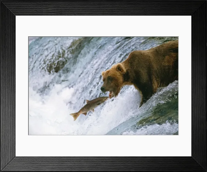 Framed Print : Picture No. 10784938 Framed Print : Picture No. 10784938