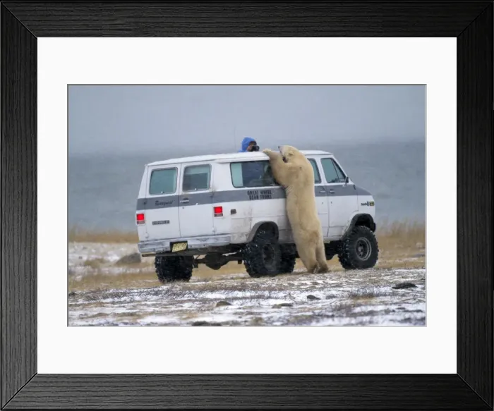 Framed Print : Picture No. 10785007 Framed Print : Picture No. 10785007