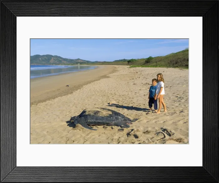 Framed Print : Picture No. 10784942 Framed Print : Picture No. 10784942