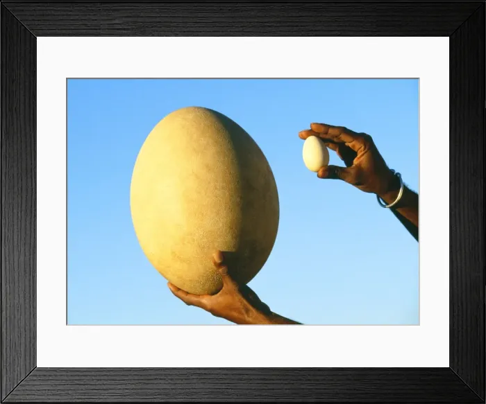 Framed Print : Picture No. 10785028 Framed Print : Picture No. 10785028