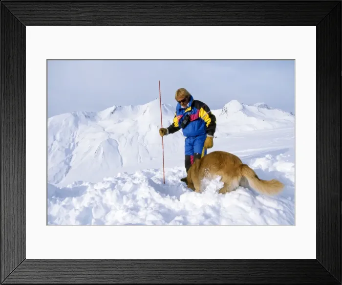 Framed Print : Picture No. 10785097 Framed Print : Picture No. 10785097