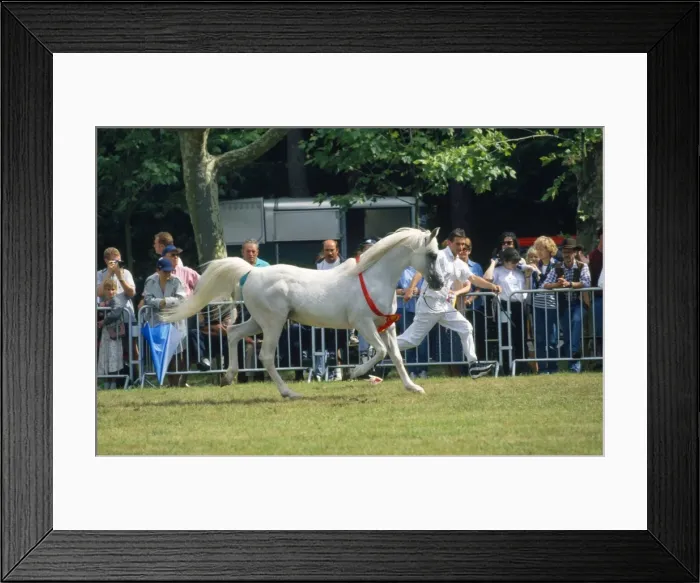 Framed Print : Picture No. 10785075 Framed Print : Picture No. 10785075