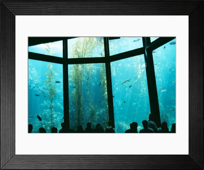 Framed Print : Picture No. 10785104 Framed Print : Picture No. 10785104