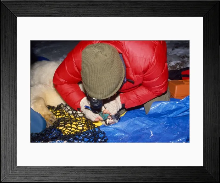 Framed Print : Picture No. 10785109 Framed Print : Picture No. 10785109
