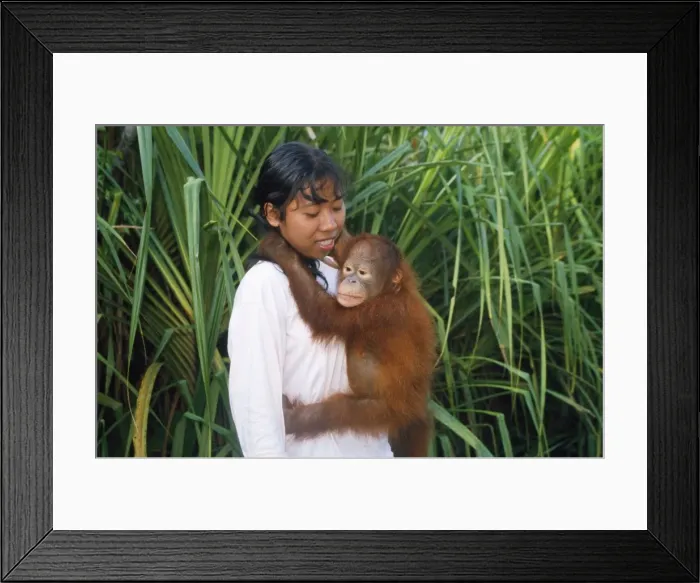 Framed Print : Picture No. 10785283 Framed Print : Picture No. 10785283