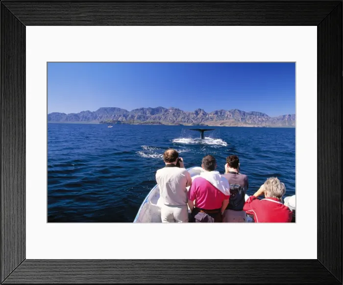 Framed Print : Picture No. 10785421 Framed Print : Picture No. 10785421