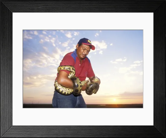 Framed Print : Picture No. 10785463 Framed Print : Picture No. 10785463