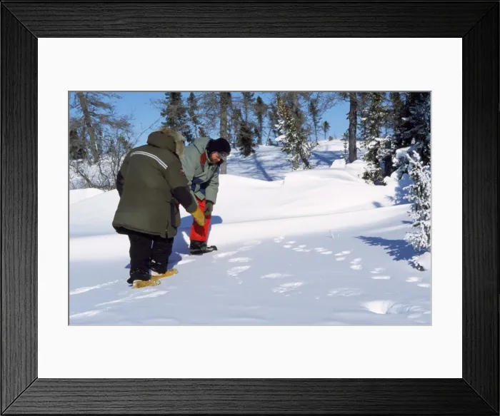 Framed Print : Picture No. 10785368 Framed Print : Picture No. 10785368