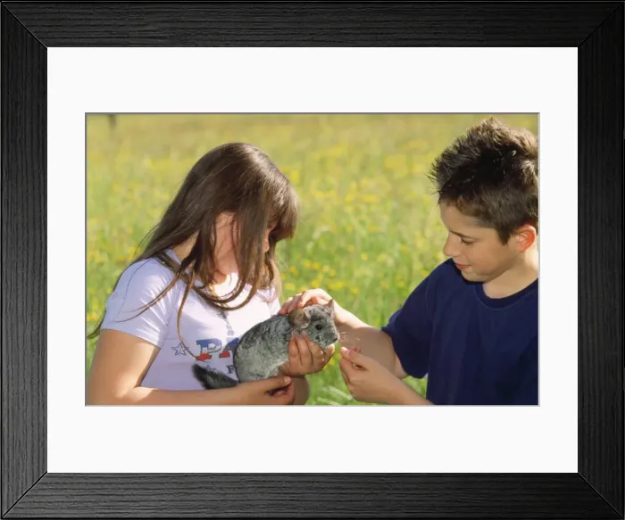 Framed Print : Picture No. 10785502 Framed Print : Picture No. 10785502