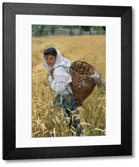 Framed Print : Picture No. 10785525 Framed Print : Picture No. 10785525