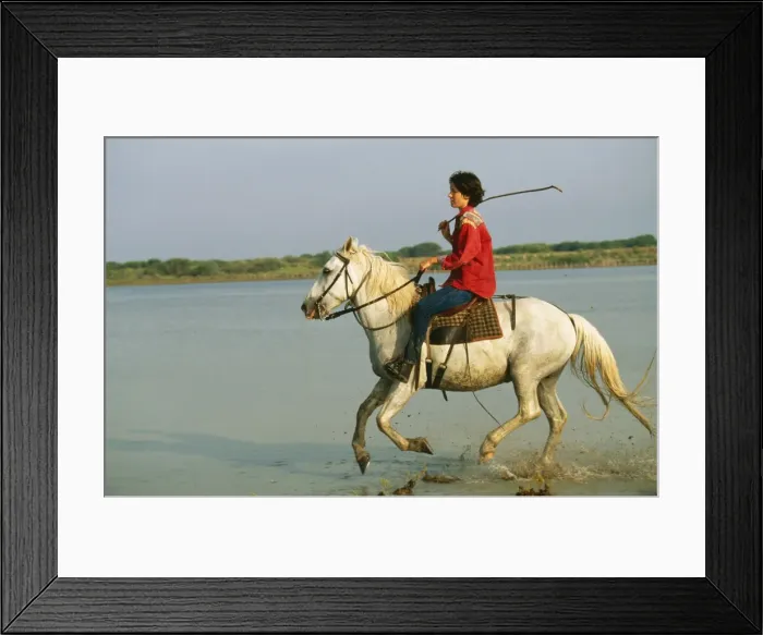 Framed Print : Picture No. 10785588 Framed Print : Picture No. 10785588